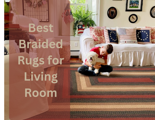 Best Braided Rugs for Living Room
