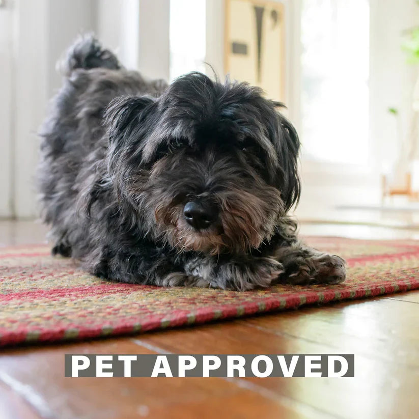 How to Remove Pet Stains from a Jute Rug