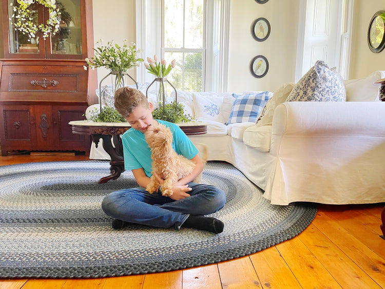 Living Room Braided Rugs