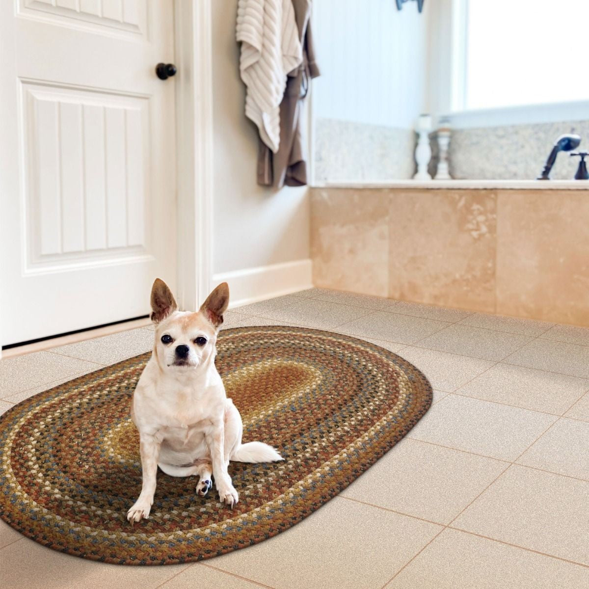 Biscotti Brown Cotton Oval Braided Rugs