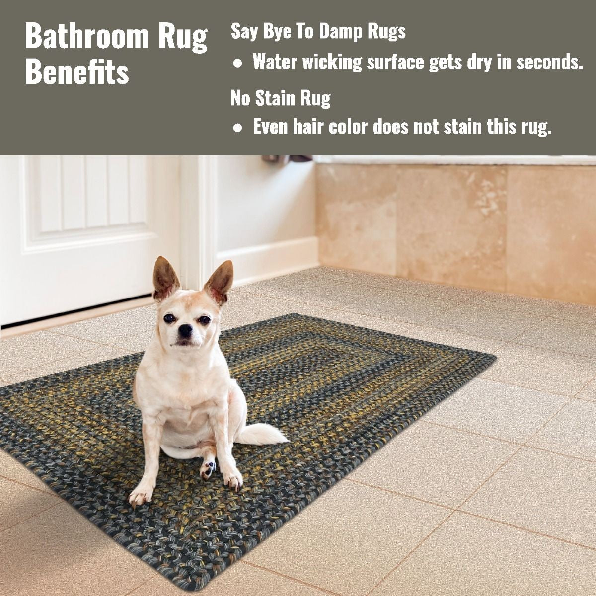Black Forest Outdoor Braided Rectangular Rugs