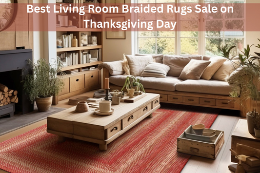 Best Living Room Braided Rugs Sale on Thanksgiving Day