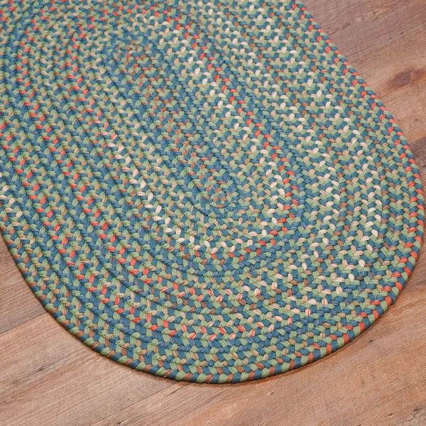 Colgate Braided Multi Bluegrass Indoor Modern Farmhouse Rug