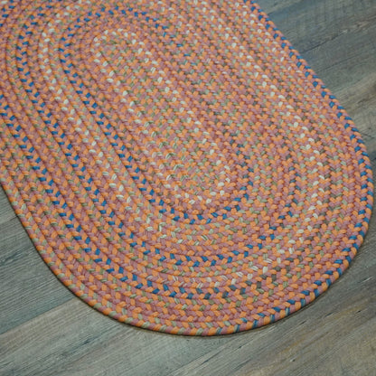 Colgate Braided Multi Rusted Red Indoor Modern Farmhouse Rug